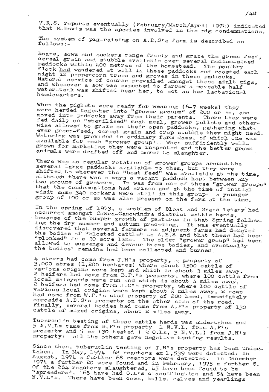1975 page 48